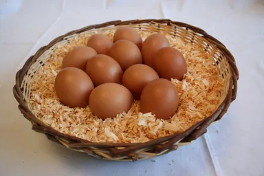 岡崎おうはんの卵