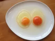 右側が岡崎おうはんの卵です