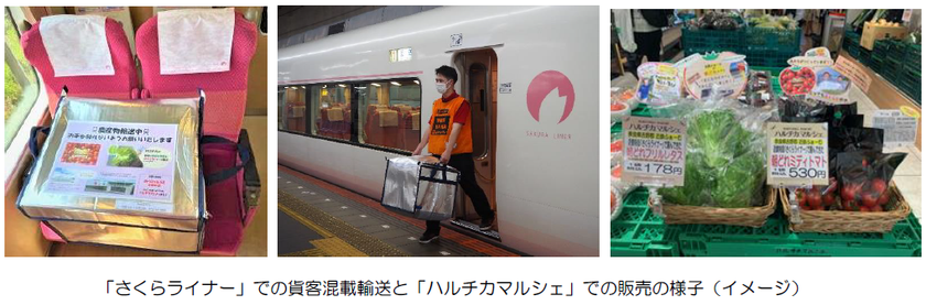（ご参考）
「さくらライナー」での朝採れ野菜の貨客混載輸送の
本格運用を開始しました！