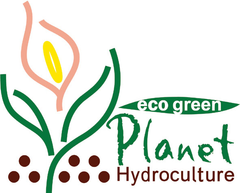 “トロピカルな緑のカーテンで節電する2013年の夏”
「パッションフルーツ苗」“赤玉種”と“さし木”苗を4月15日より販売開始