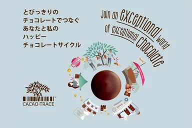 カカオトレースとは