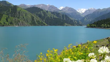 ワイナリー周りの美しく豊かな自然環境(中国新疆)