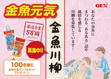 募集画面イメージ