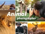 動物カメラマンコース