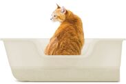 獣医師開発※3 ニオイをとる砂専用 猫トイレ
