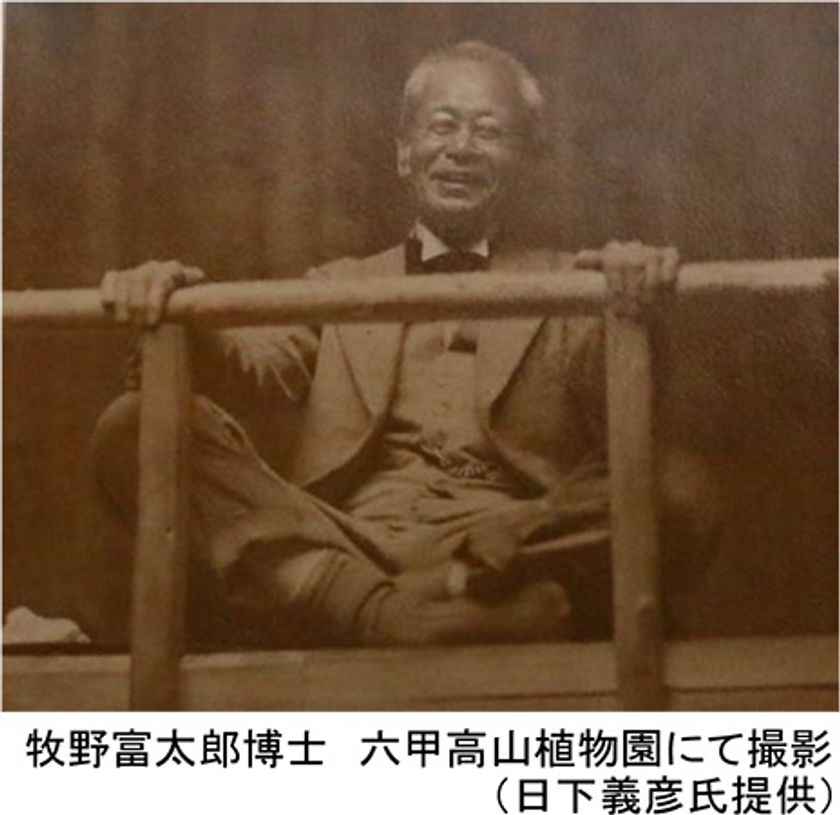 ROKKO森の音ミュージアム
2023年度年間スケジュール＆
SIKIガーデン見どころをご紹介！