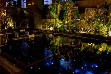 ほたるの炭酸泉(2)