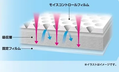 ファインケアシート断面図イメージ
