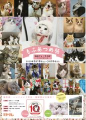 ビジュアル1
