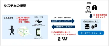 システムの概要