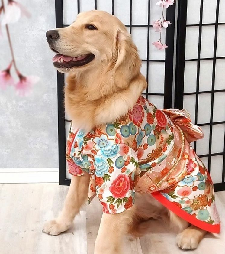 Jiswhisker しょっぱ 女の子や猫の旅行者や猫の休日のためのペットドッグドレスが築いた服, M, 画像サイズ:840x947