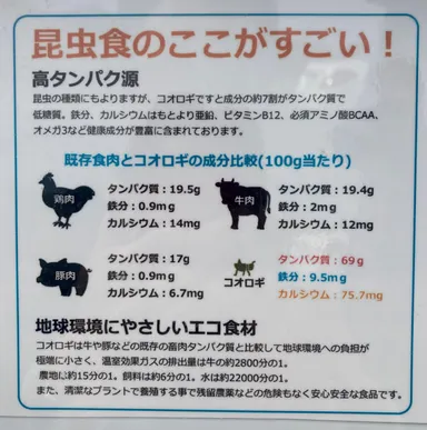 昆虫食のすごさ