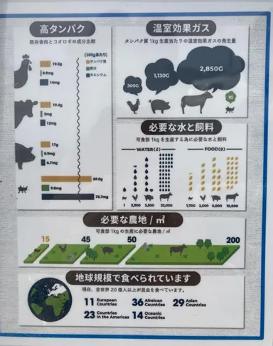 昆虫食との比較