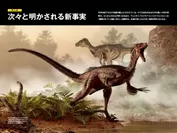 『新説・恐竜』中面