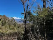 富士山眺望のための伐採