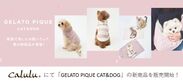 Caluluにて「GELATO PIQUE CAT&DOG」の新商品を販売開始！