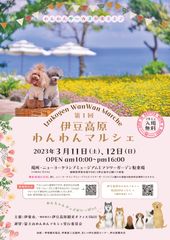 チラシ表