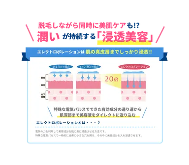 エレクトロポレーション