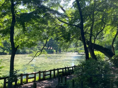 井の頭恩賜公園1