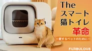 スマート猫トイレ革命【Furbulous Box】