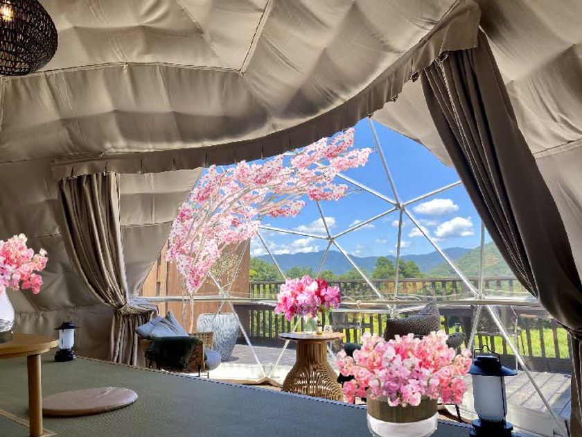 ～グランピングで、ひと足早いお花見を～
日比谷花壇の“STAY”「里楽巣FUJINO」
春色たっぷりの空間装飾でお客様をお迎えする
『スプリングフラワーフェア』
2023年2月23日（木・祝）から4月23日（日）まで開催