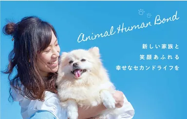 ブリーディングを卒業した犬・猫とのマッチング専門店「パートナープラス」