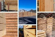 技術開発が進む建築用木材