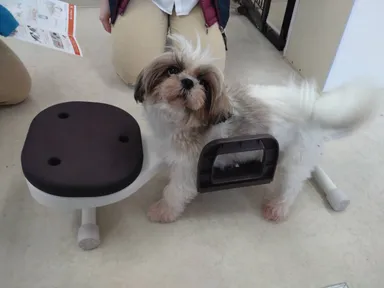 リラたっち使用画像(1)