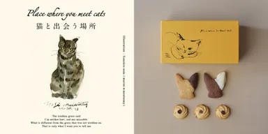 Place where you meet cats ～猫と出会う場所2023～