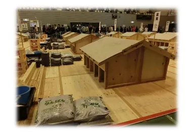 グランプリ写真3