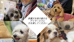 クラウドファンディング画像