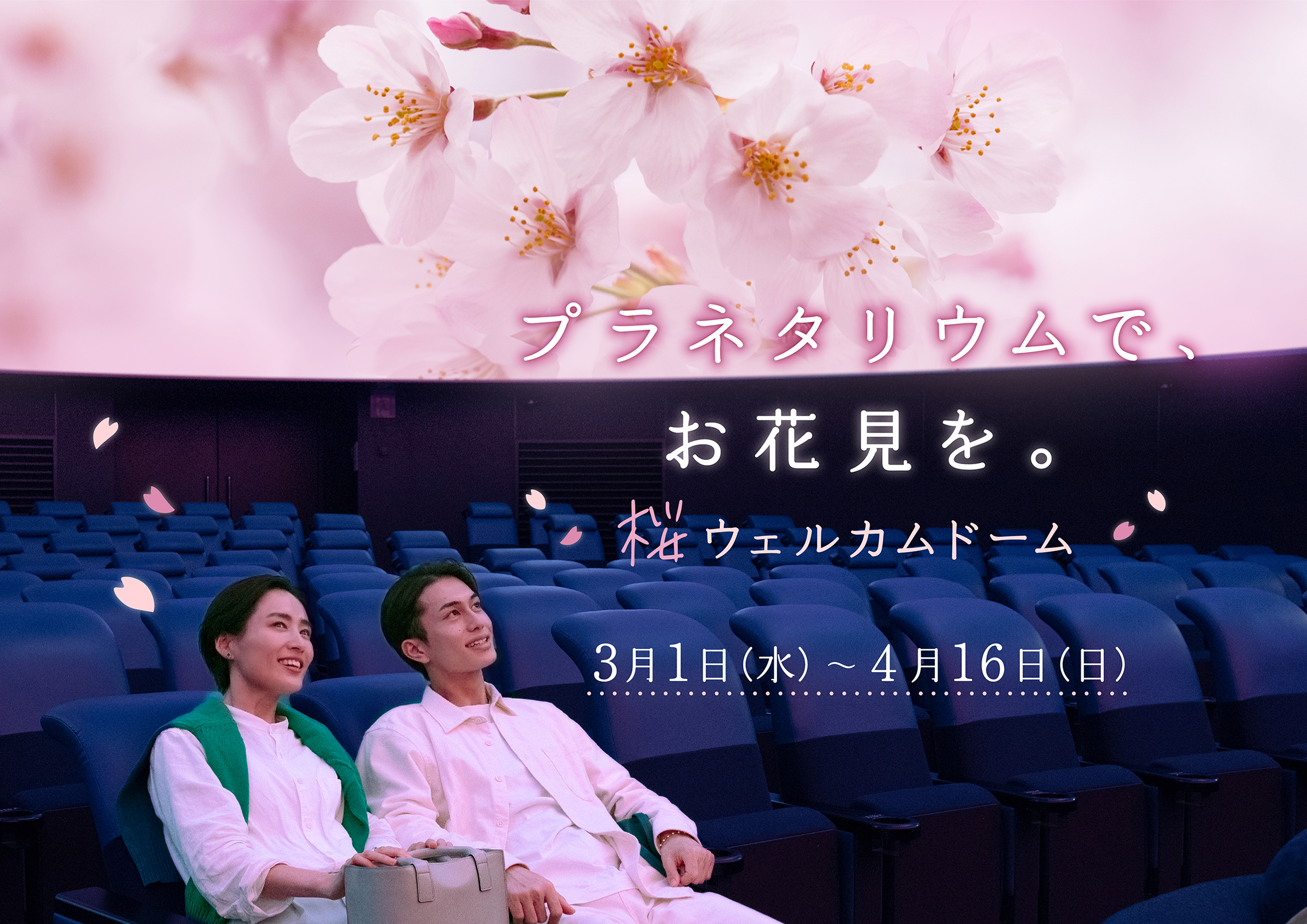 撮影OK！プラネタリウムでお花見気分 「桜ウェルカムドーム」3月1日スタート！（プラネタリアYOKOHAMA）