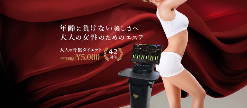 【即日発送】スリムビューティーハウス✳︎EMS★お家ダイエットマシーン数回使用した物8パッド