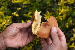 img_345459_4.jpg