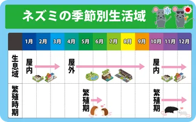 ネズミの季節別生息域
