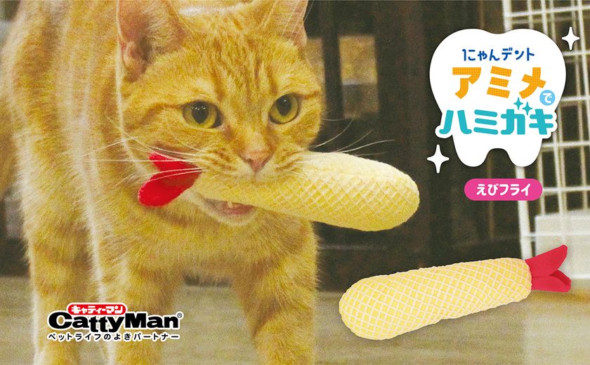 猫 おもちゃ ねずみ ひとり遊び 歯磨き マウス ネコ ねこ ネズミ またたび マタタビ 噛む かむ 猫のおもちゃ ストレス解消 運動不足 一人遊び  猫用 猫の あそび道具 にゃんこの宿 通販