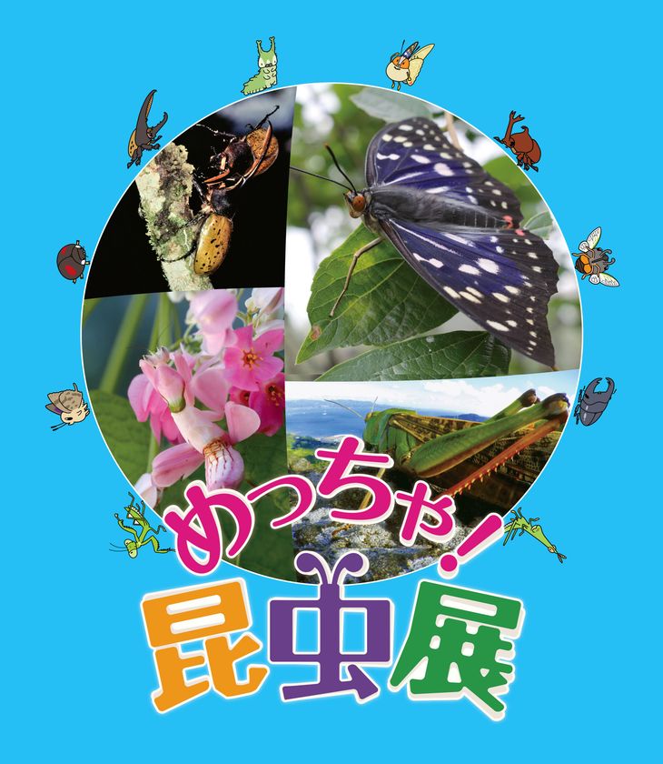 2月16日(木)より「めっちゃ！昆虫展」前売券販売開始
めっちゃ！おトク情報 　昆虫展入場券はひらパー入園特典付き！