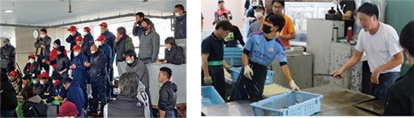 阪急交通社×阪急阪神百貨店
～「食の阪神」生鮮バイヤー厳選の産地へ～
4月28日（金）限定「旅するさんち」明石浦漁港 セリと鯛料理