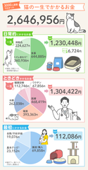 猫の一生にかかる費用