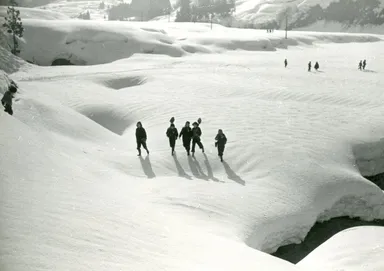 しみ渡り(イメージ)