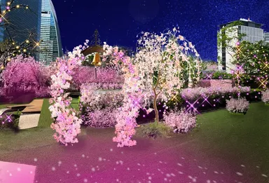 サクラスカイガーデン(2)