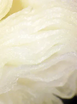 歯みがきロープコラーゲン断面図