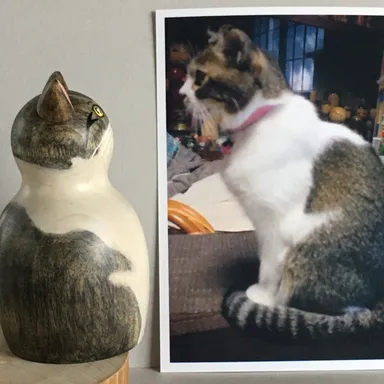 プレミアム　スモール　写真と