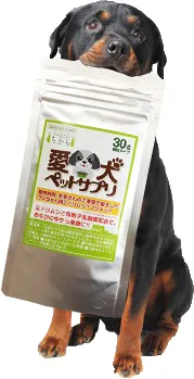 ミドリムシのちから愛犬ペットサプリ