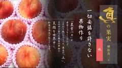 真の果実：桃