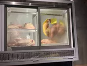 熟成鶏専用冷蔵庫