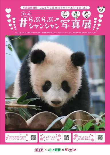 ずぅっと＃らぶらぶシャンシャン写真展