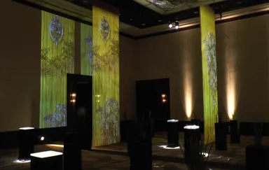 ラインビュー＋映像のコラボ