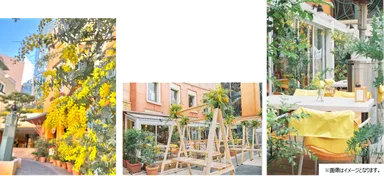 MIMOSA TERRACE(ミモザテラス)