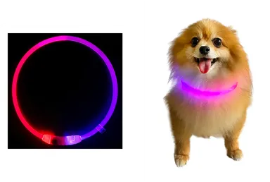 ライトリング　首輪タイプ